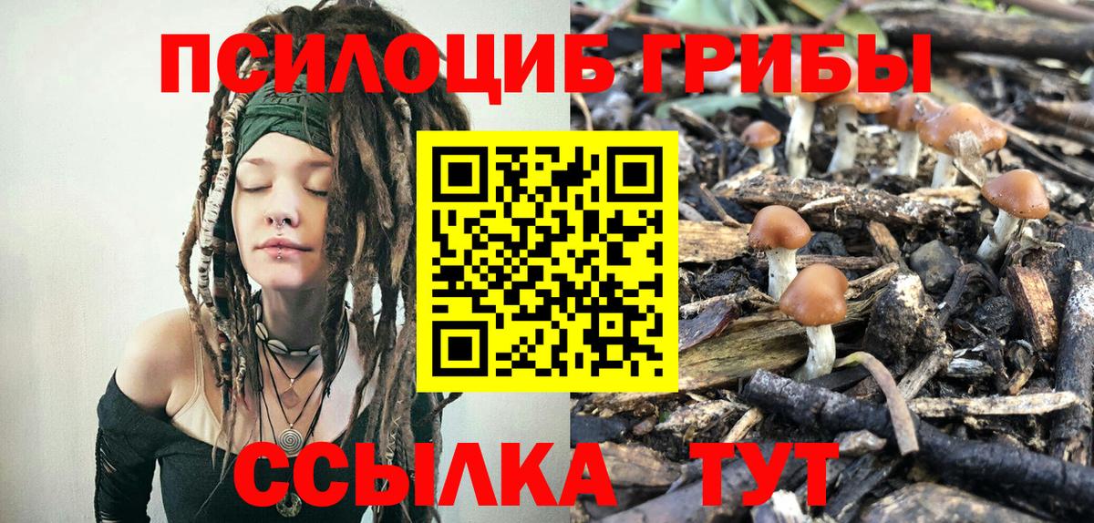 Псилоцибиновые грибы GOLDEN TEACHER  Галлюциногенные грибы ЛСД  цены   Вход с VPN  Нальчик 