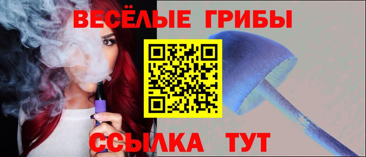Псилоцибиновые грибы Cubensis Нальчик